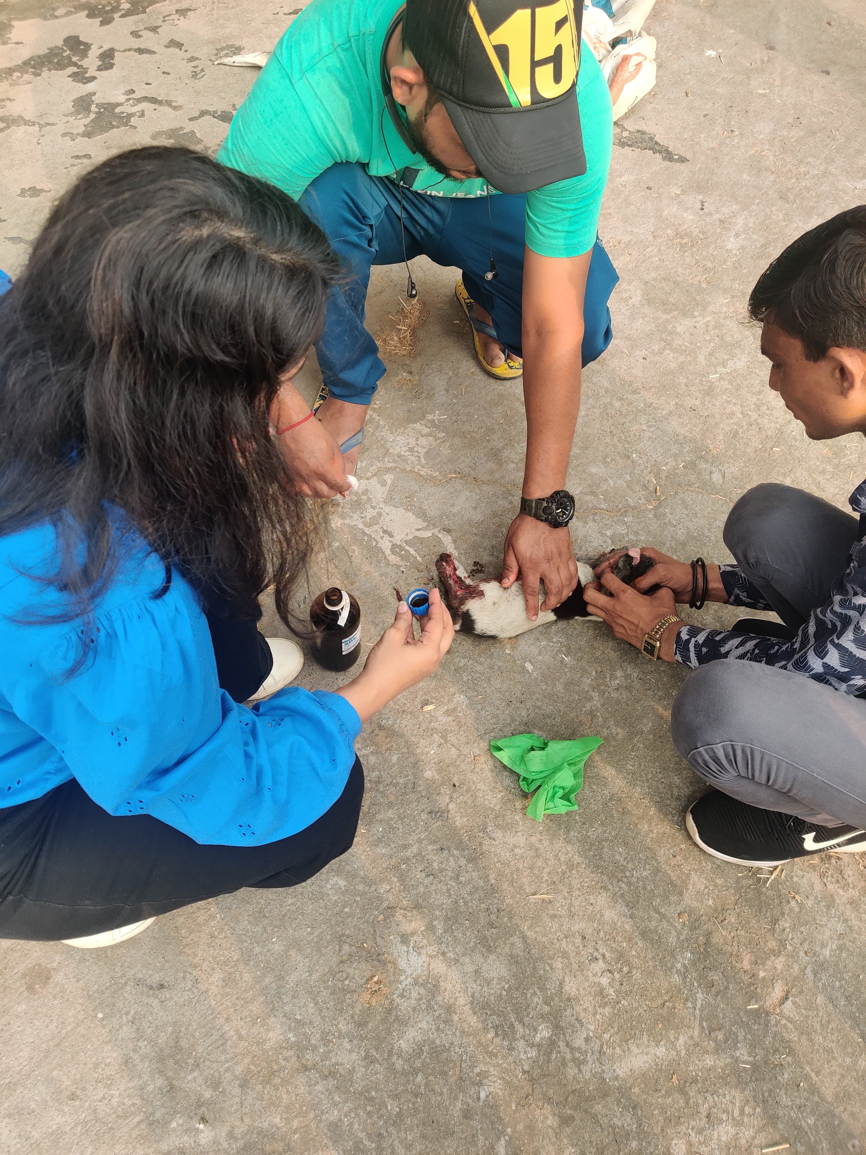 Veterinary homoeopathy outreach during Lumpy Skin Disease outbreak